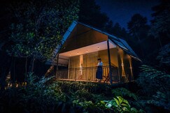COFFEE CREST WAYANAD, Wayanad