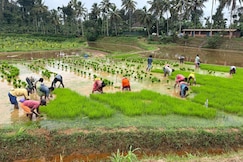 Misty huts home stay, Coorg