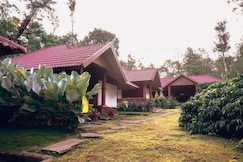 Wood Clusters, Coorg