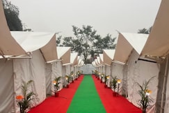 Omji Divya Sangam Dham | Maagh Mela Camps, Prayagraj