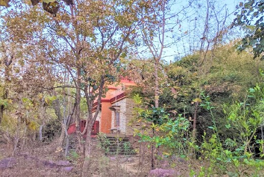 Bagoha Wilderness retreat Homestay