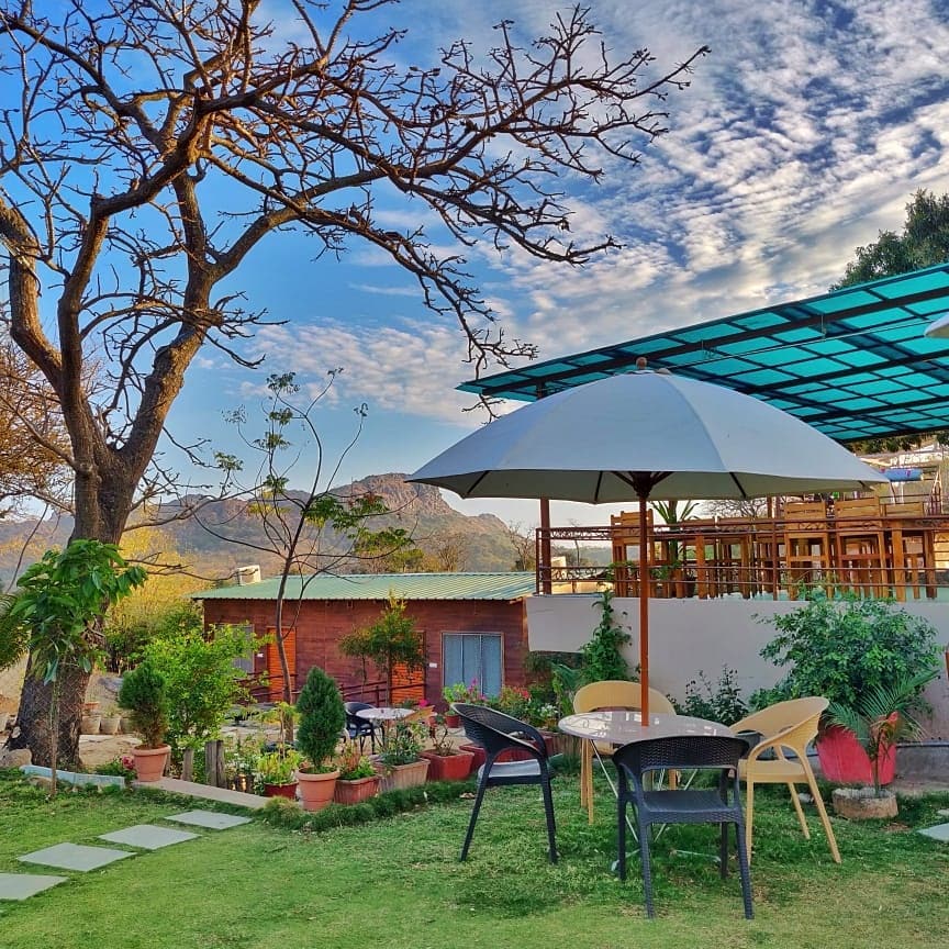 eco forest house price