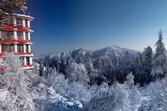 Evolve Nature Resort, Baldeyan, Naldehra, Shimla, Mashobra