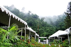 Aqua Forest River Resort, Rishikesh
