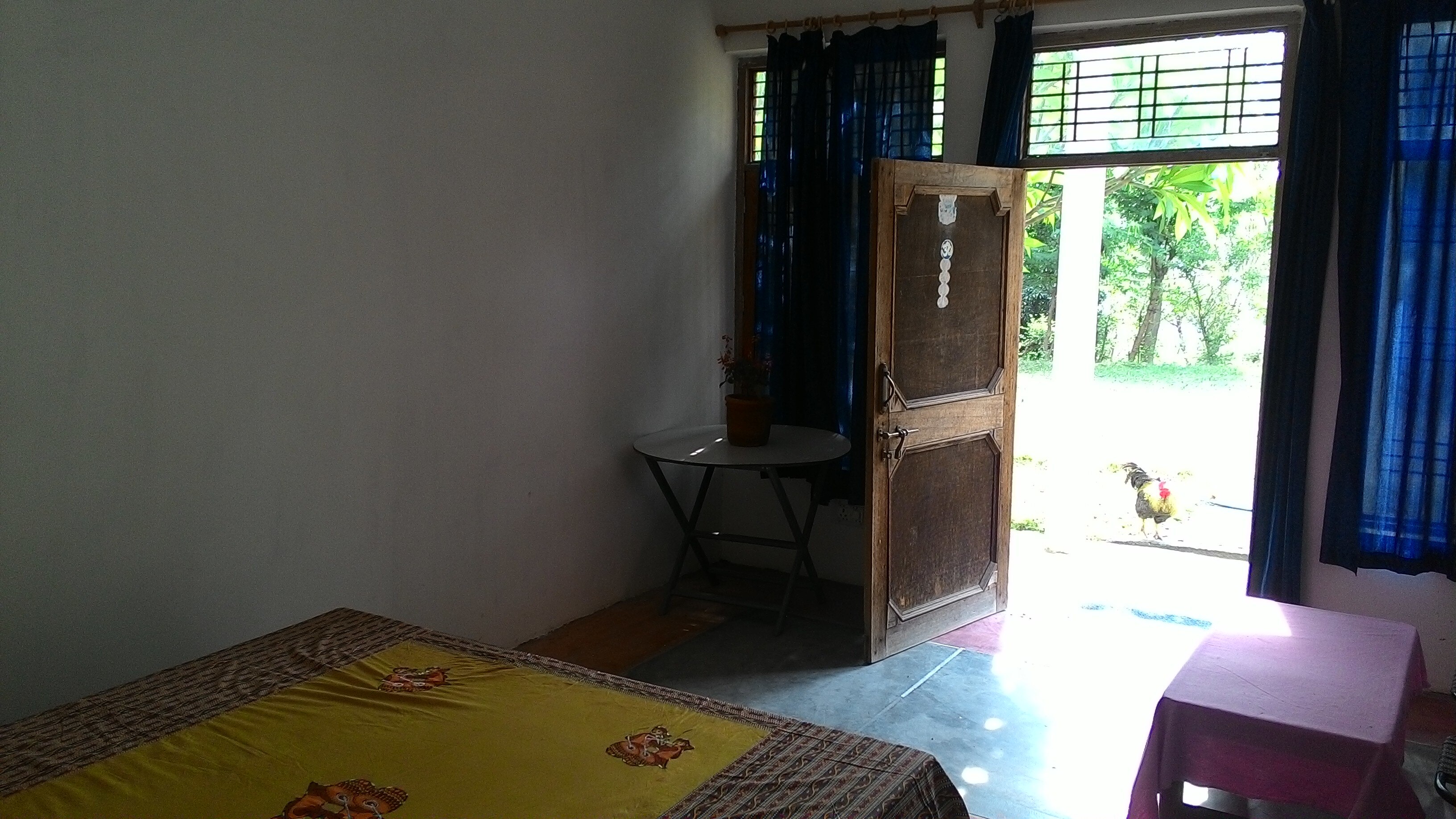 Mahasheer Kothi - Tap to explore photos