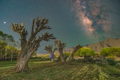 Indus Serenity Retreat Ladakh, Leh