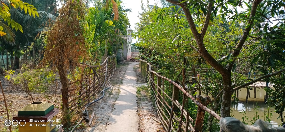 Mahamaya Tourist Centre - Tap to explore photos