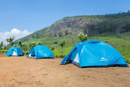 Munnar Birds Camp