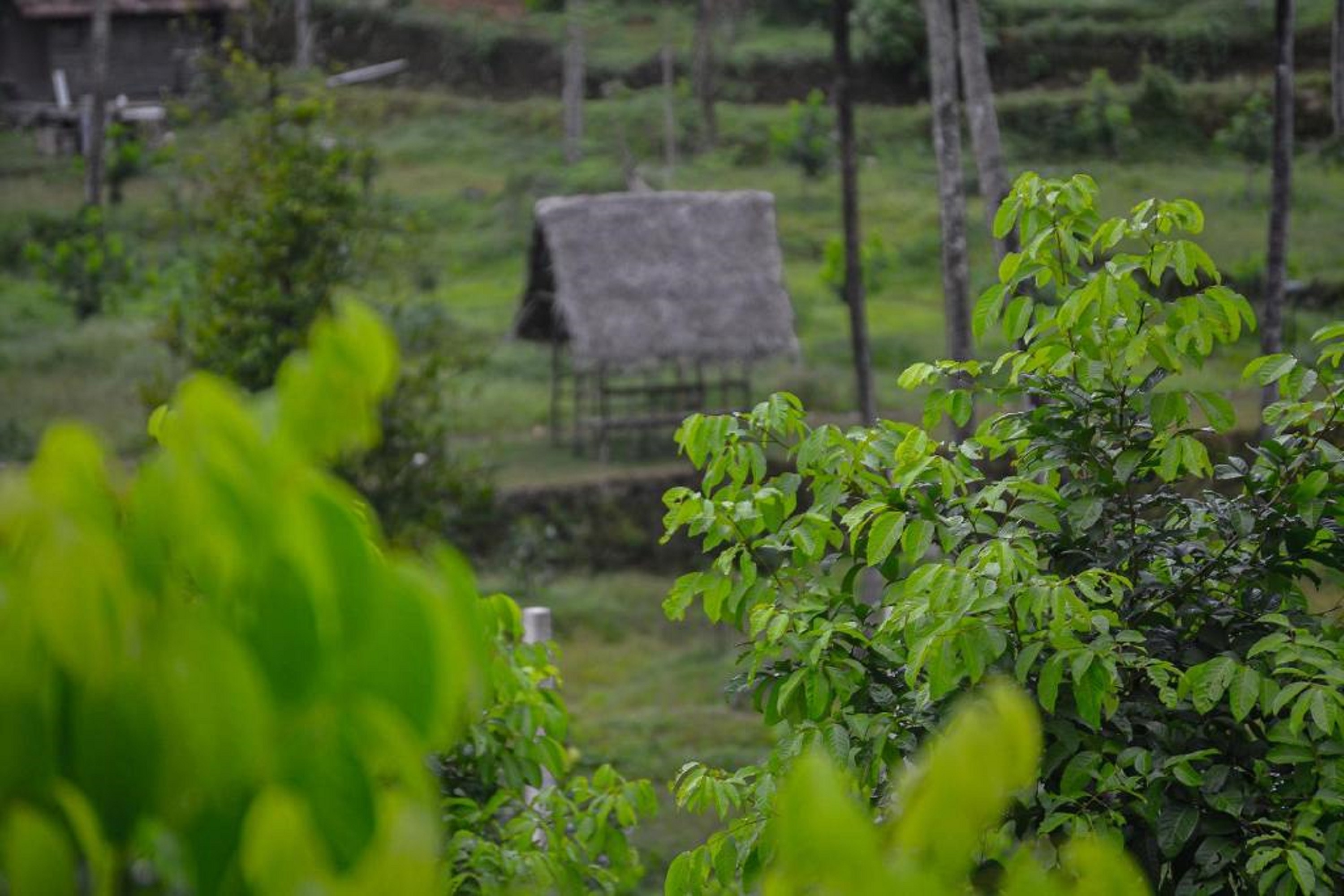 In To The Roots Farm and Resorts - Tap to explore photos