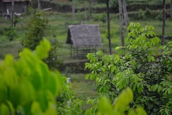 In To The Roots Farm and Resorts, Udumalapet