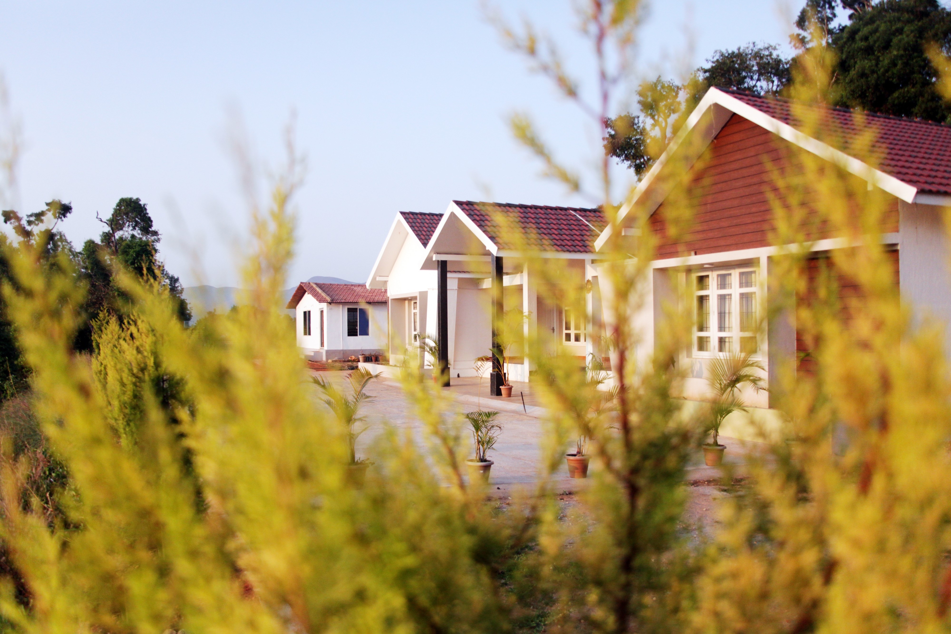 The Mist Homestay - Tap to explore photos