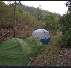 Tents