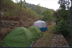Glamping in Tipperary Estate, Yercaud