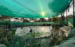 Swimming Pool 1