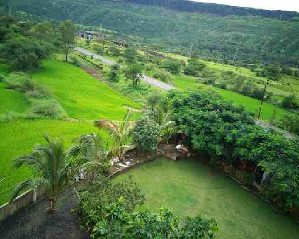 Hotel Dipali 5