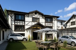 The Heritage Chinar, Sonmarg