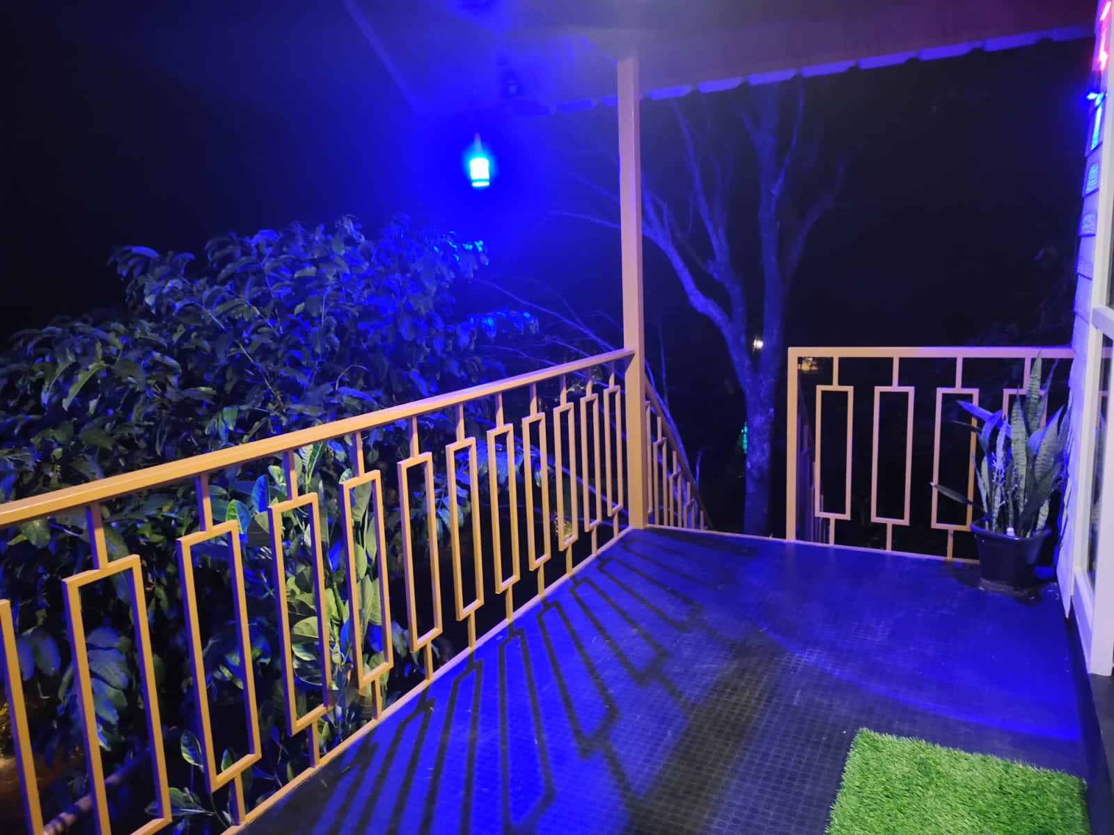 Glamping Tree House & Cottages - Tap to explore photos
