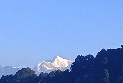 Mountain view homestay Darjeeling