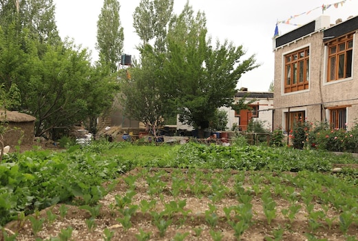 Jamspal Residency | Near Leh Market