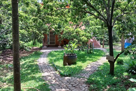 Prakruti Farms l Ibis