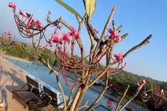 O' Carol 1RK Agastya Sea View Apartments Harnai, Dapoli