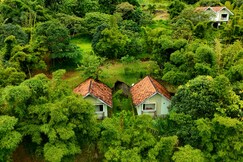 Elenor Cottage Munnar, Munnar