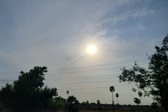 Fareedas, Pattukkottai