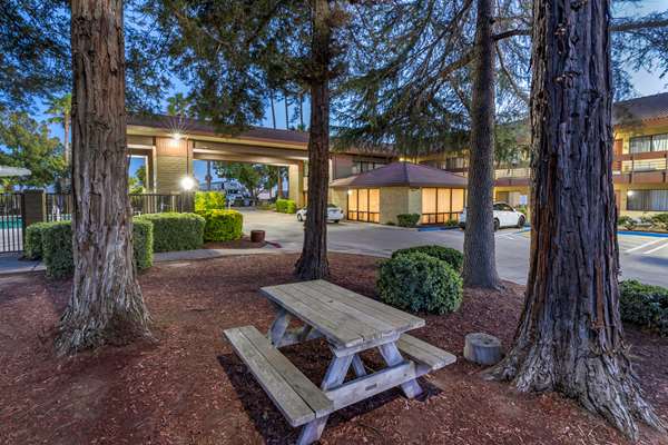 Best Western Orchard Inn - Tap to explore photos
