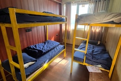 The walnut, Guptkashi