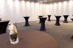 Best Western Plus Aldhem Hotel, Borsele