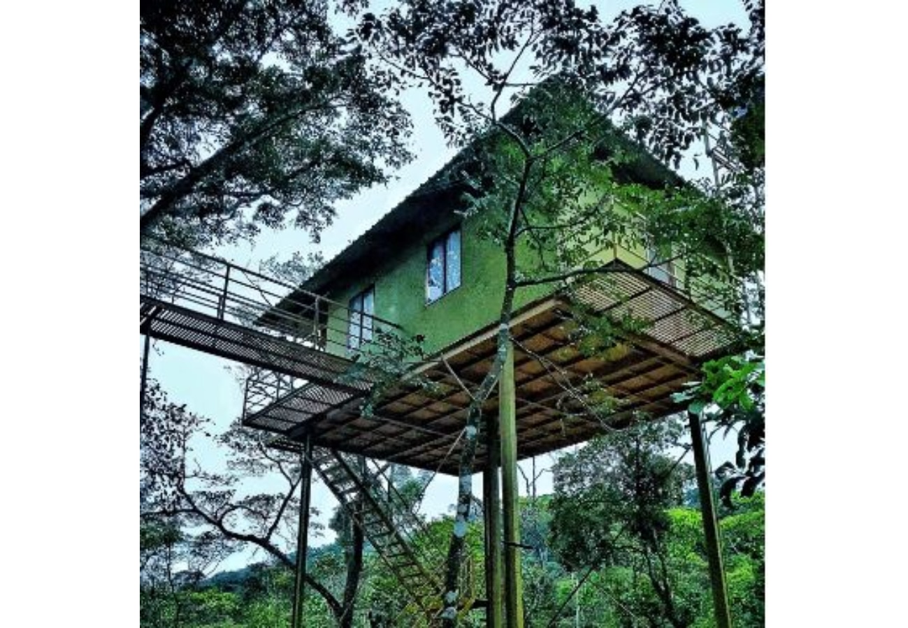 The Munnar TreeHouse - Tap to explore photos