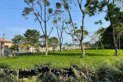 Deeshari Aronnyak Eucalyptus, Gorubathan