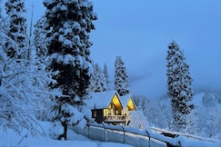 Solomons Gray, Gulmarg