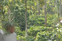 Honalu Homestay, Coorg