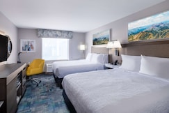 Hampton Inn & Suites by Hilton Salida, Eagle