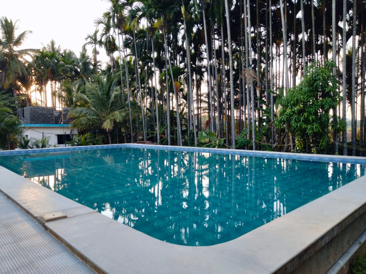 Saatvik Coorg Homestays - Tap to explore photos