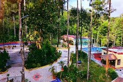Coffee Kanive, Chikmagalur