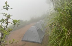 Basic Tent 