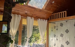 The Glass Treehouse