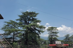 Shimla Pine View, Shimla
