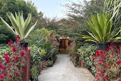 Lokosha Resort, Kohora