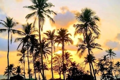 Chillies Arambol Beach Goa, Goa