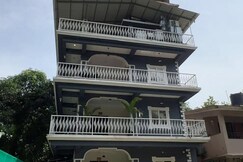 Solim palm, Goa