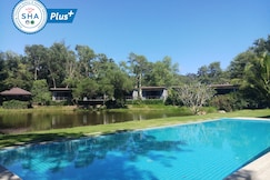 The Touch Green, Naiyang, فوكيت