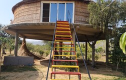 Treehouse
