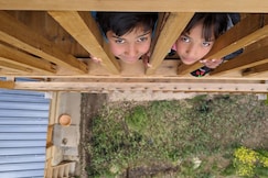 Majestic Treehouse Tandi with Cafe and Parking, Jibhi