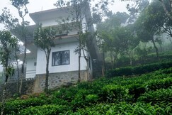 Arrano Vista, Vagamon