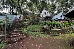 Tentdobia - Stay above the mist Munnar, Munnar