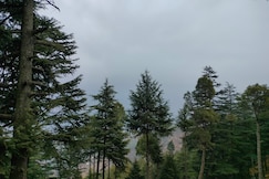 The Alpine Vista, Chaukori