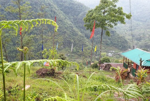 Bamboo Nest Homestay by StayApart, Bariakhop
